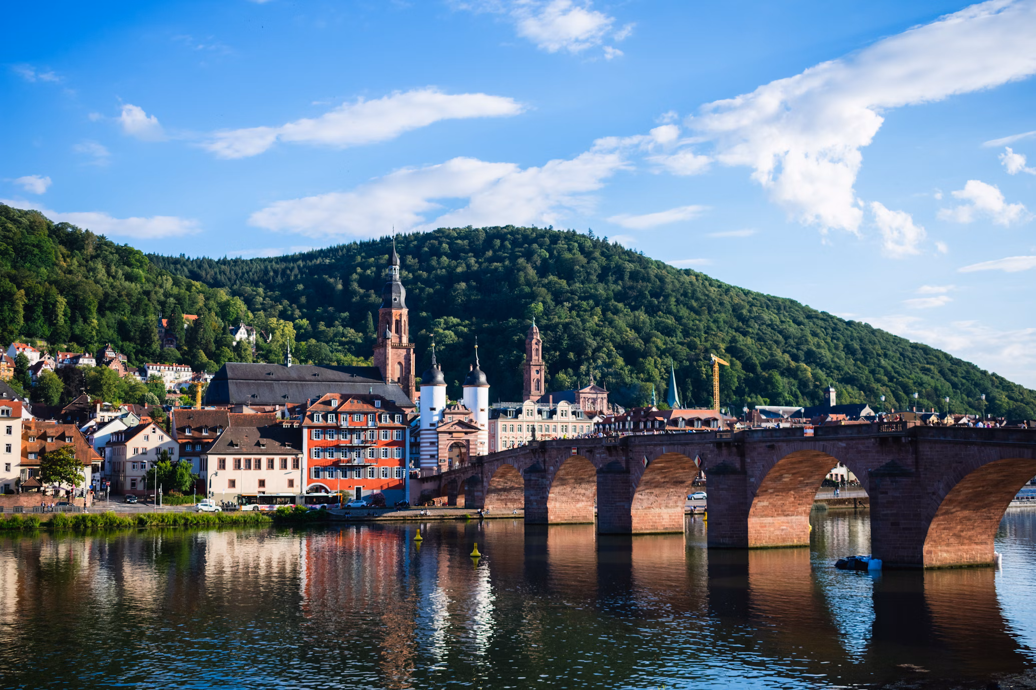 Heidelberg University